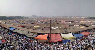 বিশ্ব ইজতেমায় ৯৬ জোড়া যৌতুকবিহীন বিয়ে