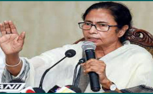 মুরগির সঙ্গে করোনাভাইরাসের সম্পর্ক নেই: মমতা