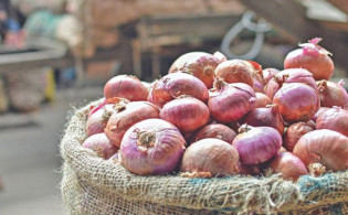 দারুন সুখবর : মাত্র ২৫ টাকা কেজিতে পেঁয়াজ,পাওয়া যাবে যেদিন থেকে