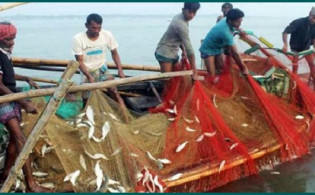 যে কারনে ২০ মে থেকে ৬৫ দিন সমুদ্রে মাছ আহরণ নিষিদ্ধ করল সরকার