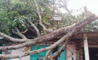 ঘূর্ণিঝড় আম্ফানে দেশের ৭ জেলায় মৃত্যুর সংখ্যা জেনেনিন