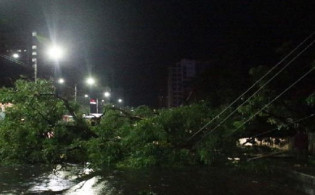 কালবৈশাখীর তীব্র ঝড়ের আঘাত