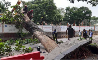 ঢাকায় বছরের রেকর্ড শক্তিশালী কালবৈশাখী ঝড়