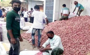 হঠাৎ করেই পেঁয়াজের দাম কমলো রেকর্ড পরিমানে