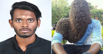 তরুণের সঙ্গে হাজারো মৌমাছির বন্ধুত্ব,গিনেস বুকে নাম