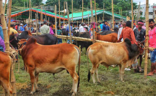 কোরবানি না দিয়ে টাকা দান করা সঠিক কিনা জানালেন জাতীয় মসজিদের ইমাম