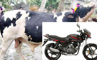 শান্তবাবুকে কিনলে মোটরসাইকেল ফ্রি পাবেন,দেওয়া হলো মালিকের ফেন নাম্বার