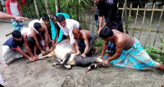 জেনেনিন কোরবানির পশু জবাইয়ের দোয়া ও নিয়ম