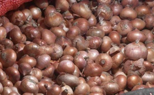 দারুন সুখবর আবারও কমলো পেঁয়াজের দাম