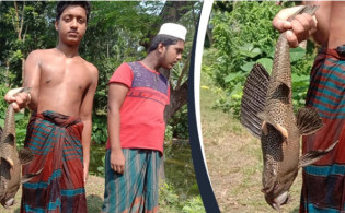 জালে ধরা পড়লো বিরল প্রজাতির মাছ