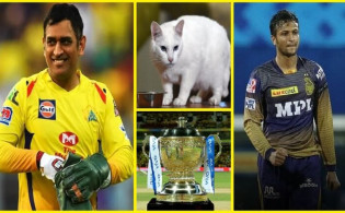ব্রেকিং নিউজ : চেন্নাই কলকাতার ফাইনাল শুরুর আগেই চ্যাম্পিয়ন দলের নাম জানিয়ে দিলো জ্যোতিষী বিড়াল