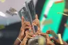 এইমাত্র ঘোষণা করা হলো বিশ্বকাপের সেরা একাদশ