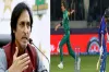 টি-টোয়েন্টি বিশ্বকাপে রোহিতকে আউট করার বুদ্ধি আমি বলে দিয়েছিলাম: রমিজ