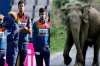 শ্রীলঙ্কায় স্টেডিয়াম আঙিনায় হাতির আক্রমণ, নিহত ২