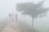শৈত্যপ্রবাহ আসছে, জেঁকে বসবে শীত