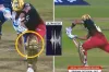 আউট নিয়ে বিতর্ক, মেজাজ হারালেন কোহলি
