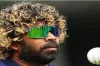 কোচ হলেন মালিঙ্গা