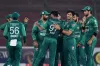 চমক দিয়ে এশিয়া কাপের জন্য শক্তিশালী দল ঘোষণা করেছে পাকিস্তান