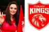 সবাইকে অবাক করে পাঞ্জাব কিংসের নতুন কোচের নাম ঘোষণা
