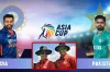 ভারত-পাকিস্তান ম্যাচের দুই আম্পায়ারের নাম ঘোষণা