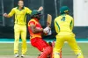 টান টান উত্তেজনায় শেষ মেশ অস্ট্রেলিয়াকে হারাল জিম্বাবুয়ে