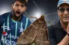 'শুনলাম তুমি মথ খেয়েছ, স্বাদ কেমন ছিল'