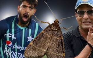 'শুনলাম তুমি মথ খেয়েছ, স্বাদ কেমন ছিল'