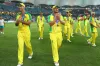 বিশ্বকাপে অস্ট্রেলিয়া দলে জায়গা পাচ্ছেন না তারকা ব্যাটার