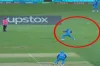 নিরুপায় বাংলাদেশ, তবে কি করে যার জন্য সব বৈধ, দেখুন ভিডিও সহ