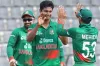 এবার বাঘের ডেরায় মশার হানা 