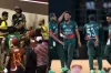 বিশ্বকাপের আগে সেলেব্রিটি ক্রিকেটারদের হাতাহাতি- আহত হয়ে হাসপাতালে ৬