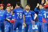 বাংলাদেশের বিপক্ষে মাঠে নামার আগে কঠিন হুঁশিয়ারি দিল আফগানিস্তান