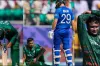 ‘বাঘ যখন বিড়াল’- ইংলিশদের পিটানিতে বাঘের মিউমিউ
