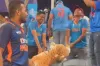 শোয়েবের বাঘ ছুড়ে ফেলে দিল ভারতীয় সমর্থকরা