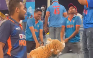 শোয়েবের বাঘ ছুড়ে ফেলে দিল ভারতীয় সমর্থকরা