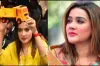 রাজনীতি থেকে আয়কৃত টাকা যা করবেন মাহি