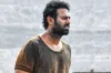 সব রেকর্ড ভেঙে আয়ের পাহাড় গড়ল প্রভাস