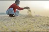 মাছের আঁশ রপ্তানি করে কোটি কোটি টাকা ইনকাম
