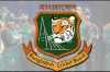 পাপনের বিকল্প সহ-সভাপতি, তাও নেই বিসিবির