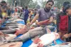 ঐতিহ্যবাহী মাছের মেলায় ৭৫ কেজির বাঘাইড় মাছ, দাম লাখ টাকা