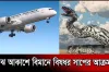 মাঝ আকাশে বিমানে সাপের আক্রমণ, তারপর যা হলো