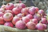 পেঁয়াজের দাম প্রতিদিনই বাড়ছে দ্বিগুণ!