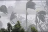ঝড়-বৃষ্টি নিয়ে দুঃসংবাদ জানালো অবহাওয়া অফিস