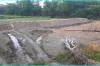 চাঁদপুরে গভীর রাতে জিনে তৈরি করলো রাস্তা!