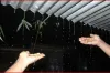দেশের যেসব এলাকায় রাত ১ টার মধ্যে ৮০ কিমি বেগে ঝড়সহ শিলাবৃষ্টির হুঁশিয়ারি সংকেত দিল আবহাওয়া অফিস