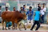 ঈদুল আজহার তারিখ ঘোষণা