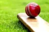 ক্রিকেটের পাশাপাশি খাবারের ব্যবসার দিক দিয়েও সেরা ১০ ক্রিকেটার