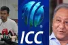 পদত্যাগ করতে রাজি পাপন, আইসিসির সভায় উপদেষ্টা আসিফ, নতুন বিসিবি সভাপতি হচ্ছেন যিনি
