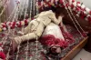 বাসর রাত উপভোগ করতে যা যা করবেন