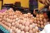আজ হঠাৎ ডিমের হালি কত হলো জানেন